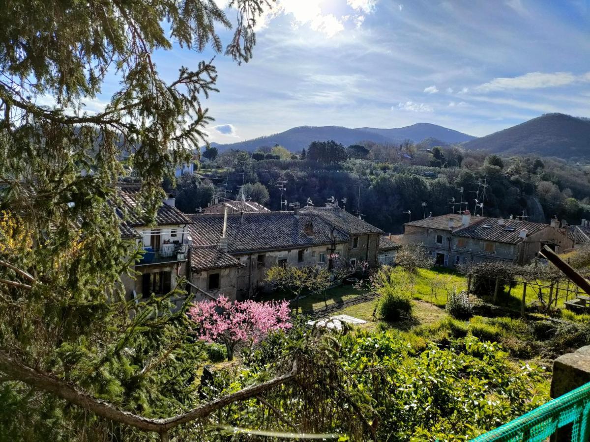 Villa Lante Viterbo Apartment المظهر الخارجي الصورة